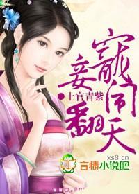 宠妾闹翻天封面
