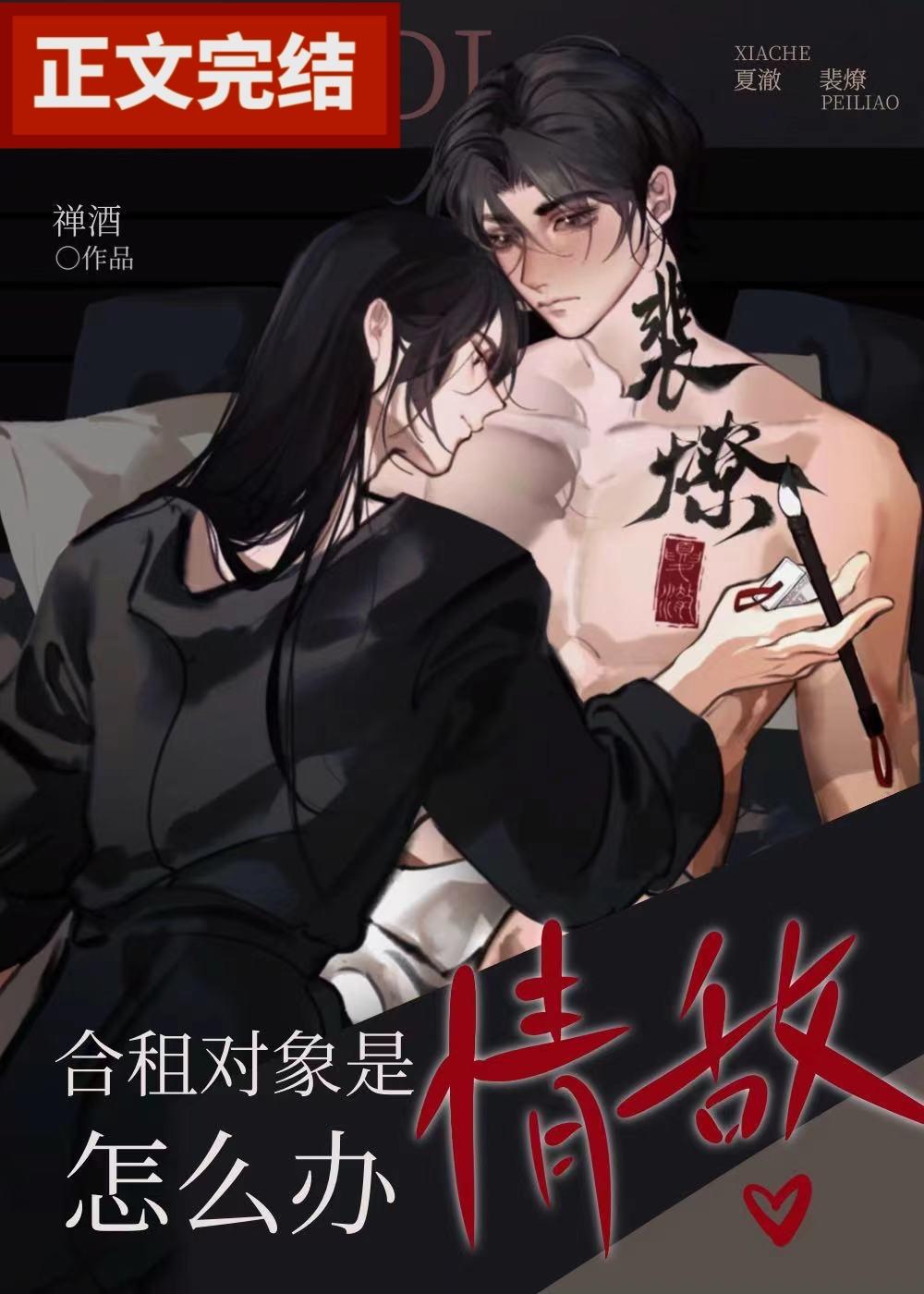 合租对象是情敌怎么办封面