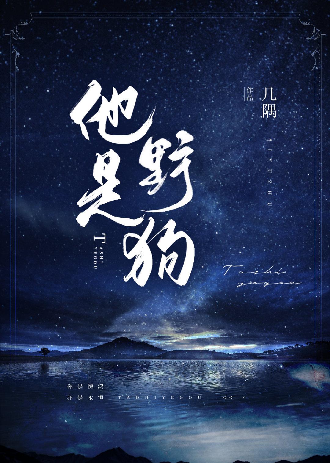 他是野狗封面