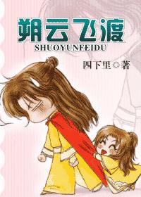 朔云飞渡封面
