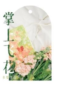 掌上飞花封面