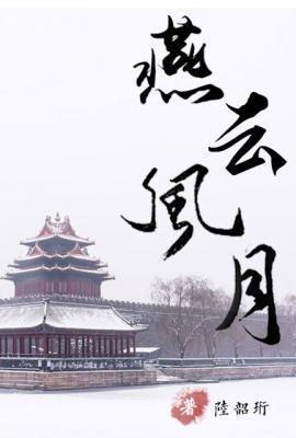 燕云风月封面