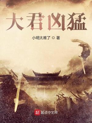大君凶猛封面