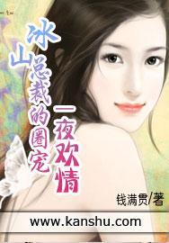 冰山总裁的圈宠：一夜欢情封面