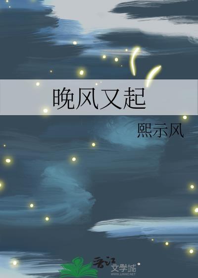 晚风又起封面