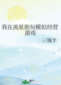 我在流星街玩模拟经营游戏封面