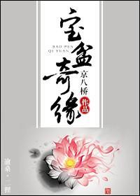 宝盆奇缘封面