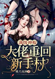 满级神棍大佬重回新手村封面
