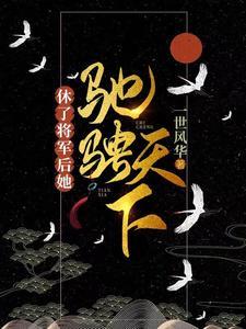 休了将军后,她驰骋天下封面