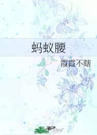 蚂蚁腰封面