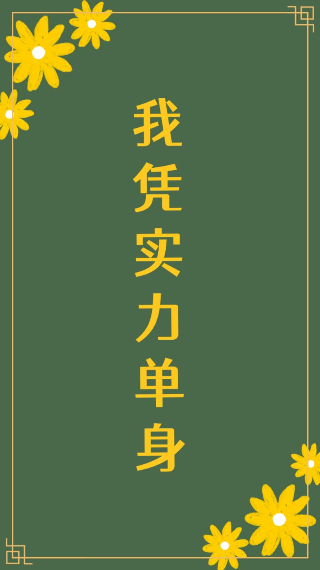 我凭实力单身封面