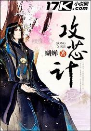 攻芯计封面