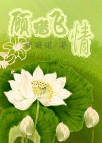 顾惜飞情封面