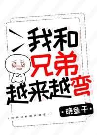 我和兄弟越来越弯封面