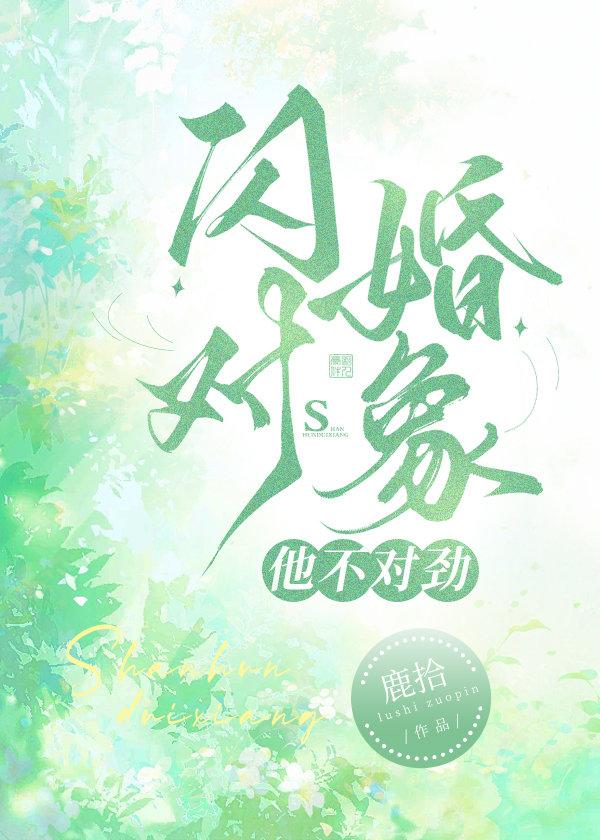 闪婚对象他不对劲封面