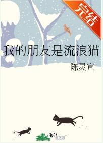 我的朋友是流浪猫封面