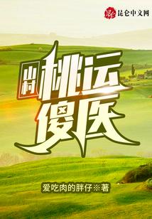 山村桃运傻医封面