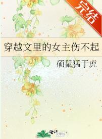 穿越文裏的女主伤不起封面