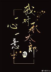 我对承太郎一心一意封面