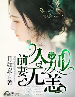 前妻，久别无恙封面